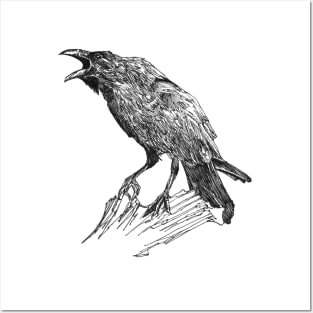 Raven scientific nature black ink pen drawing illustration Posters and Art